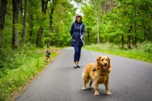 Walking The Dog For Exercise